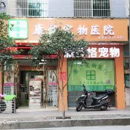派多格宠物(宜章店):郴州市宜章县
