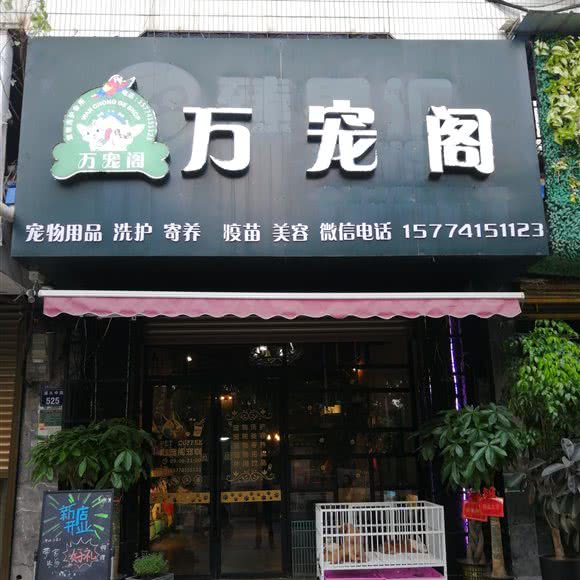 万宠阁:永州市道县