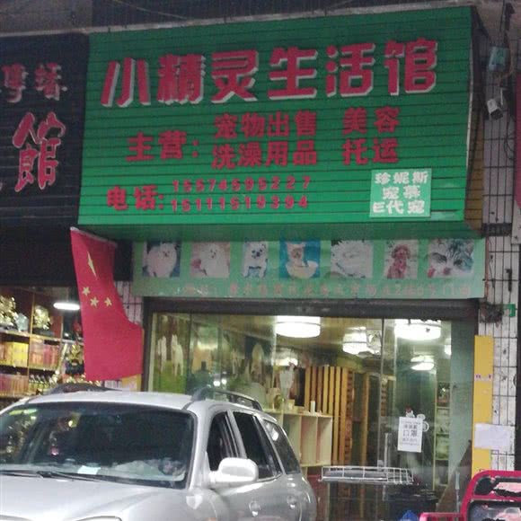 小精灵生活馆:怀化市鹤城区