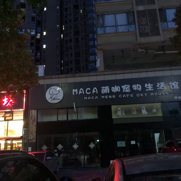 MACA萌咖宠物狗生活馆:怀化市鹤城区