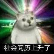 小精灵宠物馆:湘西土家族苗族自治州吉首市