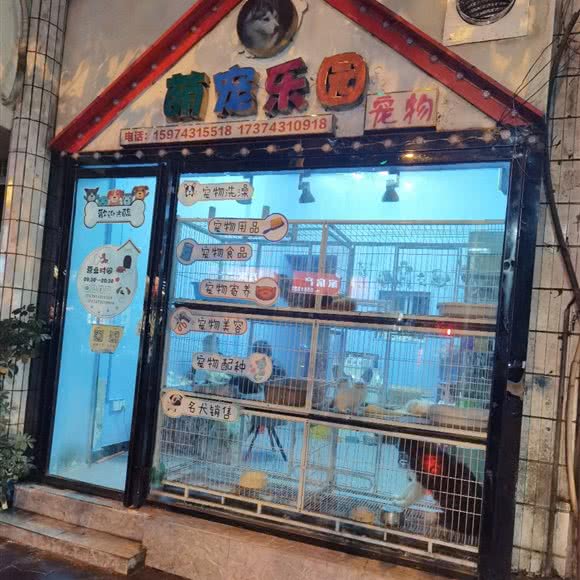 哆来咪宠物萌宠乐园:湘西土家族苗族自治州吉首市