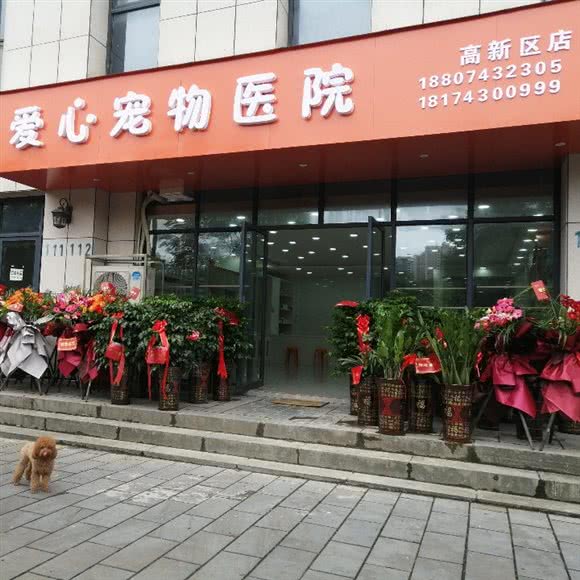 爱心宠物医院(经开区店):湘西土家族苗族自治州吉首市