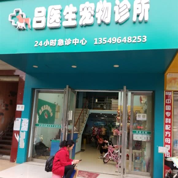 吕医生宠物诊所:湘西土家族苗族自治州吉首市