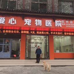 爱心宠物医院(乾州店):湘西土家族苗族自治州吉首市