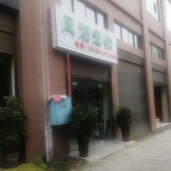 风湘宠物:湘西土家族苗族自治州花垣县