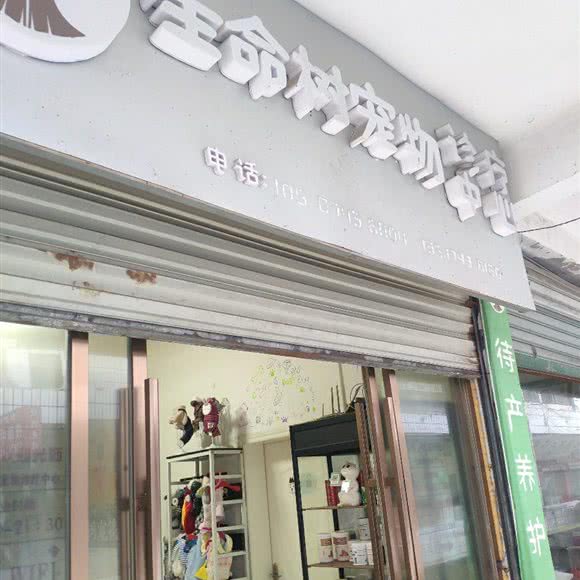 生命树宠物诊疗中心:湘西土家族苗族自治州花垣县