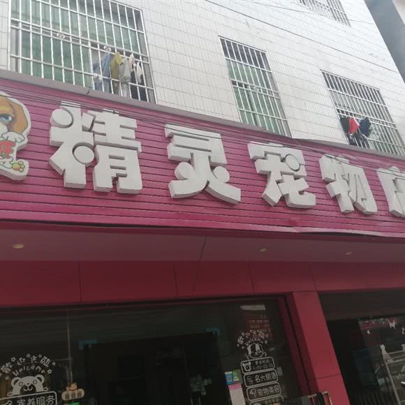 旺旺精灵宠物店:湘西土家族苗族自治州龙山县