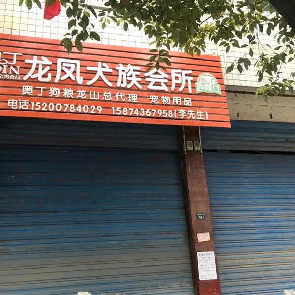龙凤犬族会所:湘西土家族苗族自治州龙山县