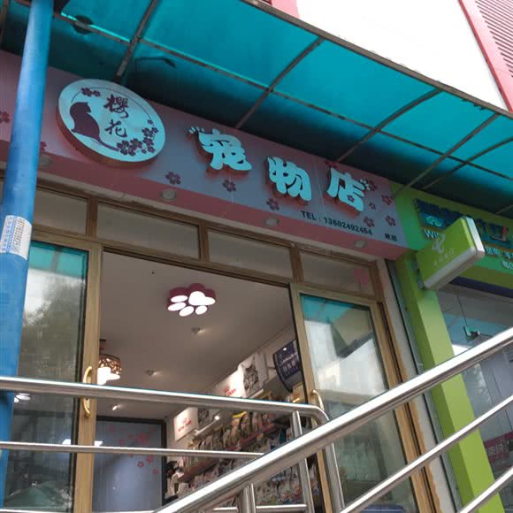 樱花宠物店:广州市荔湾区