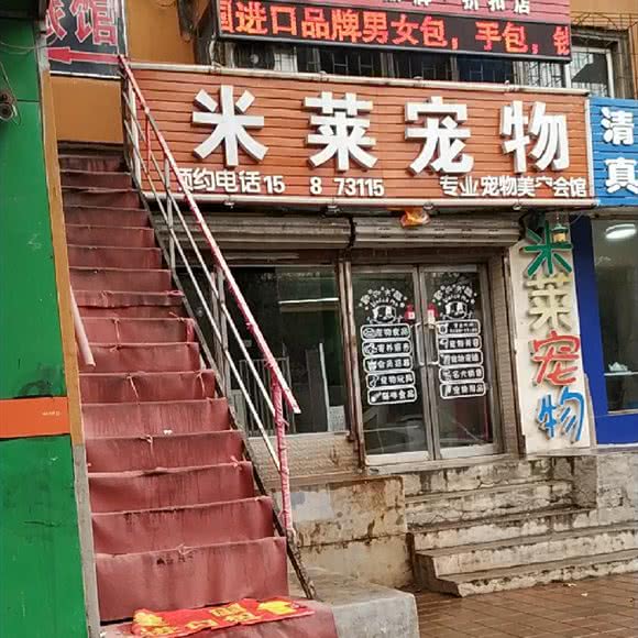 米莱宠物:沈阳市和平区南市/马路湾附近