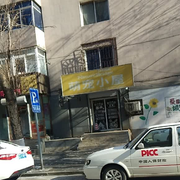萌宠小屋:沈阳市和平区南市/马路湾附近