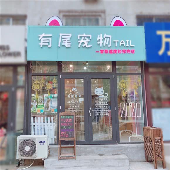 有尾宠物TAIL:沈阳市和平区南市/马路湾附近