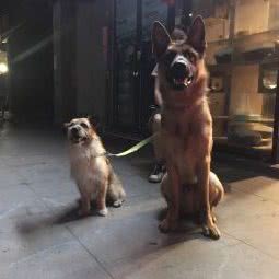 非凡与生俱来宠物店:广州市越秀区