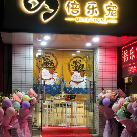 倍乐宠:广州市海珠区