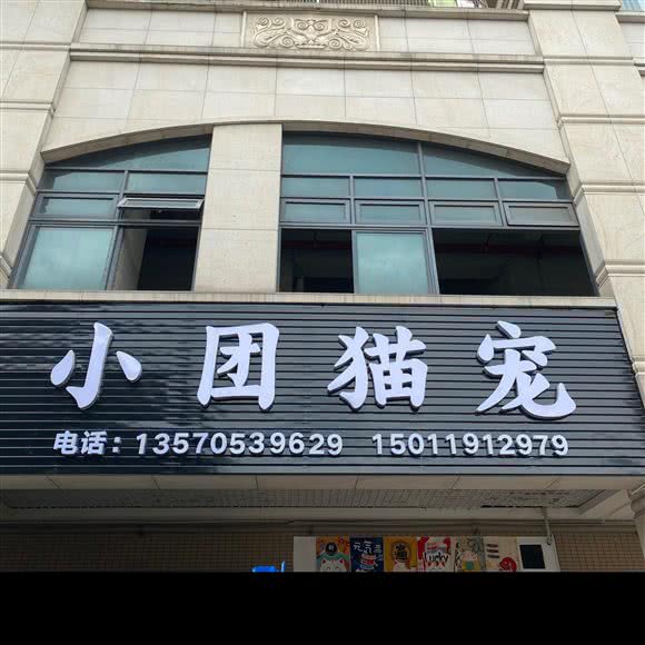 小团猫宠(罗马家园店)猫狗精致SPA 撸猫:广州市海珠区