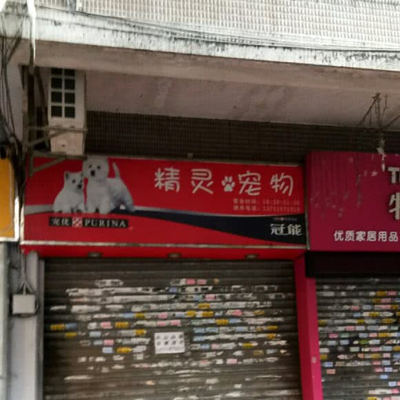 精灵宠物(海联路):广州市海珠区