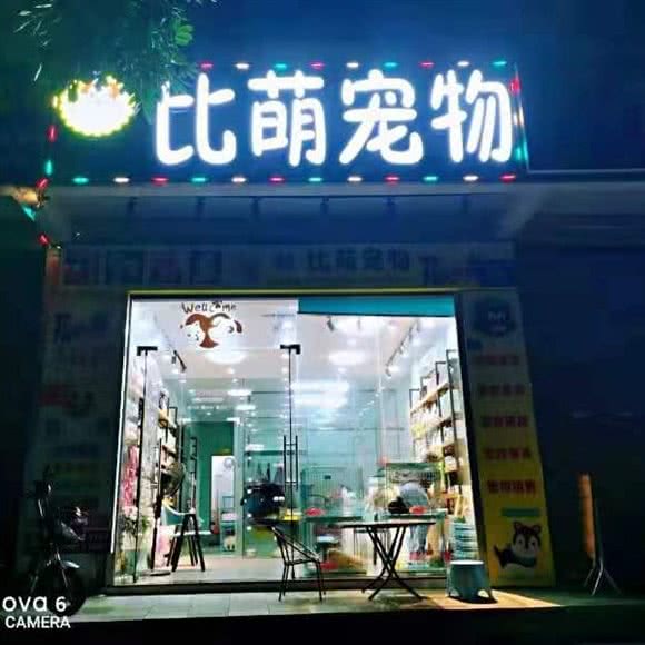 比萌宠物:广州市白云区
