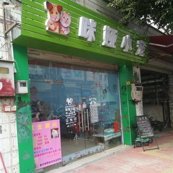 咪娅小宠:广州市白云区
