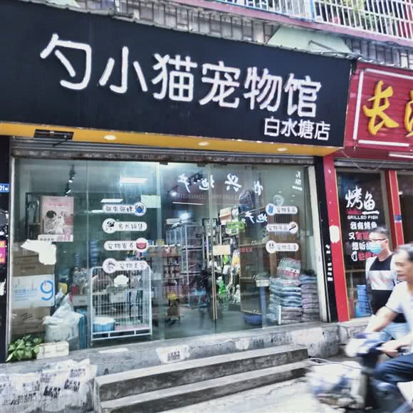 勺小猫宠物馆(白水塘店):广州市白云区