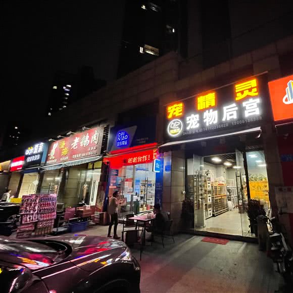 宠精灵·宠物火化:广州市花都区