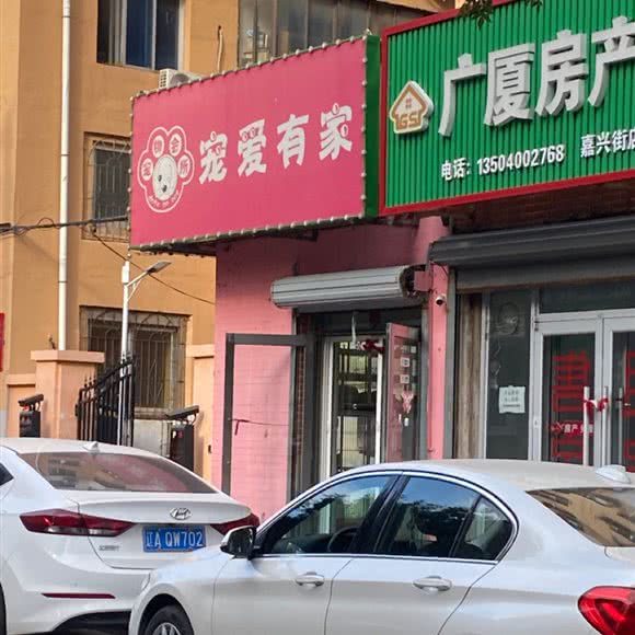 宠爱有家:沈阳市和平区南湖公园/三好街附近
