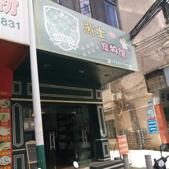 嚣士宠物店:广州市从化区