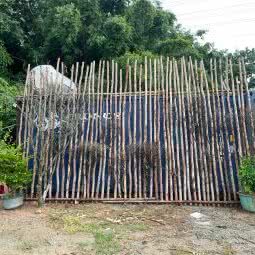 景顺花场:广州市增城区