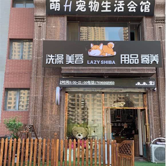 萌H宠物生活会馆:沈阳市和平区长白岛附近
