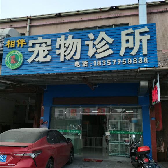 相伴宠物诊所:广州市增城区