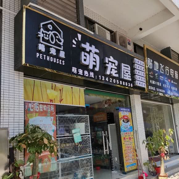 萌宠屋:韶关市仁化县
