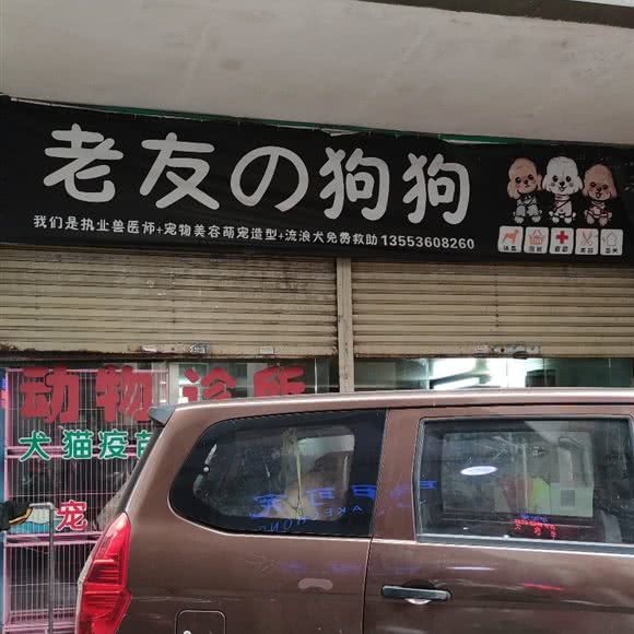 老友の狗狗动物诊所:韶关市乐昌市