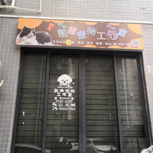 凯撒宠物工作室:深圳市宝安区