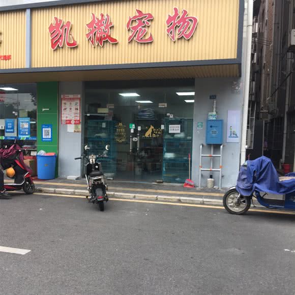 凯撒宠物:深圳市宝安区