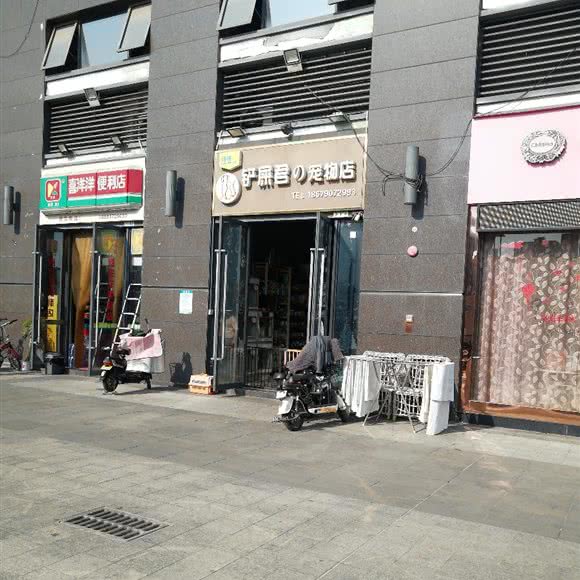 铲屎君の宠物店:深圳市龙岗区