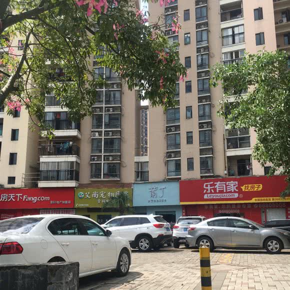 艾尚宠物医院(坂田分院):深圳市龙岗区