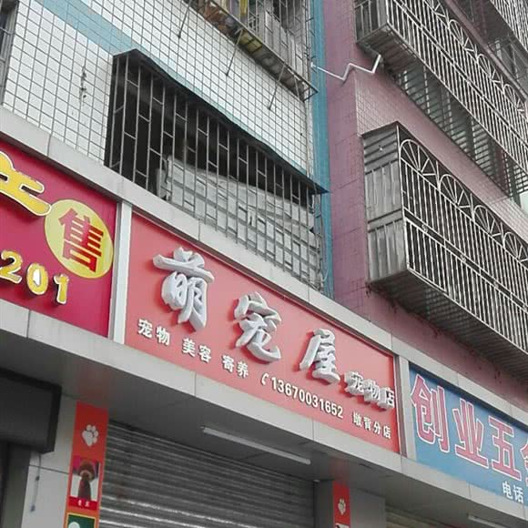 萌宠屋宠物店(墩背分店):深圳市龙华区