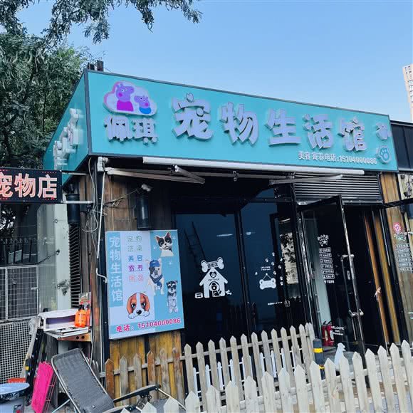 佩琪宠物生活馆:沈阳市和平区长白岛附近