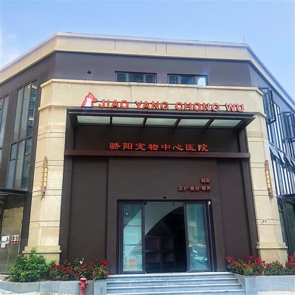 骄阳宠物中心医院(金地格林泊乐分店):珠海市斗门区