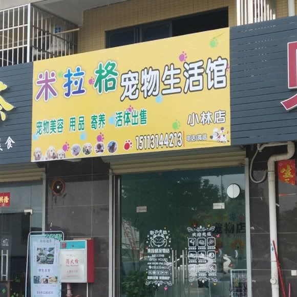 米拉格宠物生活馆(小林店):珠海市金湾区