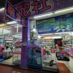 金凤宠物市场:汕头市金平区