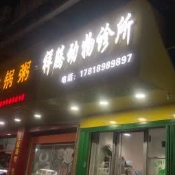 祥腾动物诊所:汕头市潮阳区