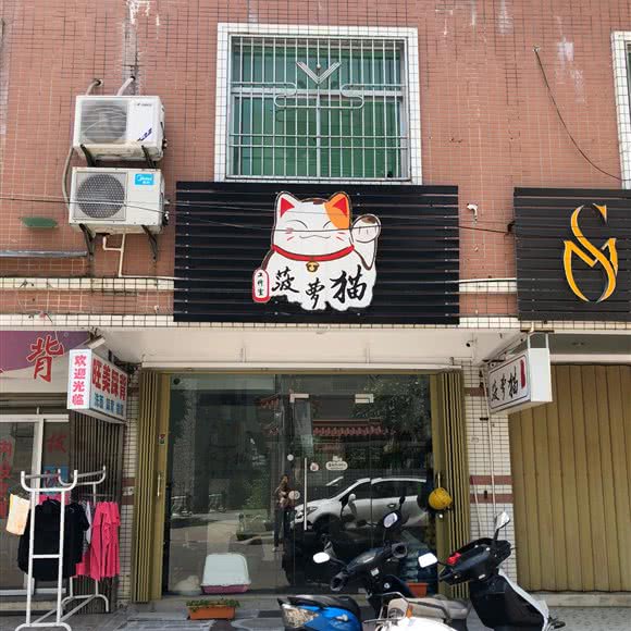 菠萝猫工作室:汕头市澄海区
