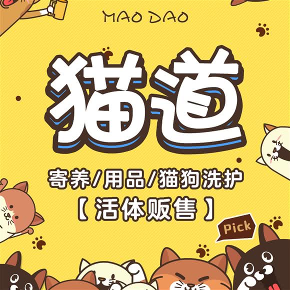 猫道:佛山市南海区