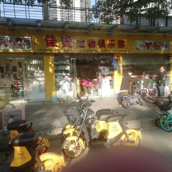 佳宝宠物俱乐部:佛山市顺德区