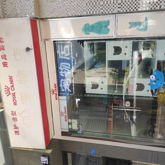 型泰迪宠物店:佛山市顺德区