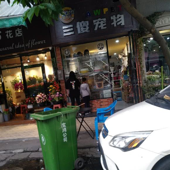 三傻宠物:佛山市顺德区