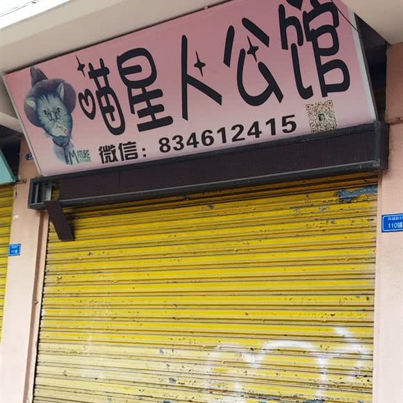 喵星人公馆:佛山市顺德区