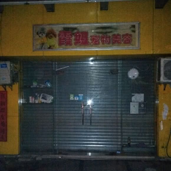 霞姐宠物美容:佛山市顺德区