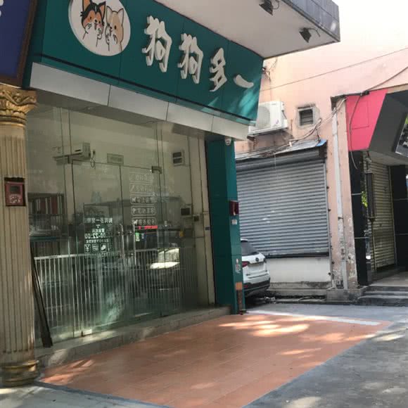 狗狗多一:佛山市顺德区